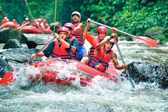 Bali Jungle Swing and White Water Rafting All Inclusive - Key Points