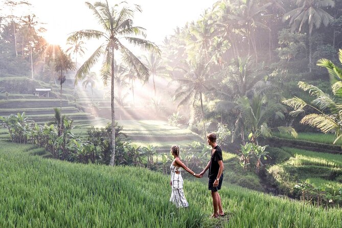 Bali Night Market Experience and Ubud Highlights Tour - Tour Highlights