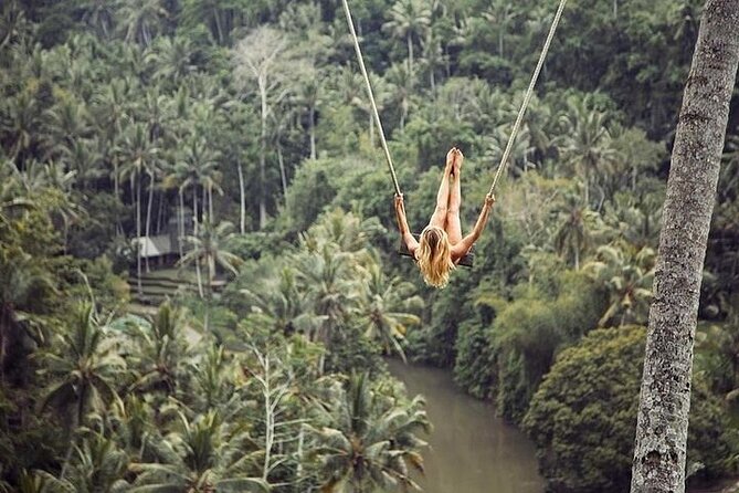 Bali Private Inclusive Tour : The Best Of Ubud With Jungle Swing - Tour Highlights
