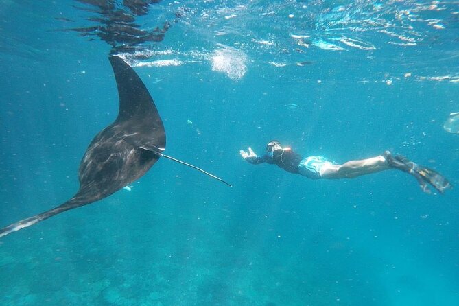 Bali Private Snorkeling (Manta, Gamat, Crystal) and Nusa Penida Tour - Key Points