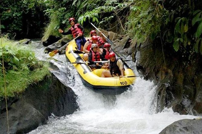 Bali Rafting Ayung River - Ubud White Water Rafting - Key Points