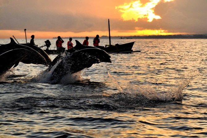 Bali Watching Dolphin at Lovina Beach - Key Points