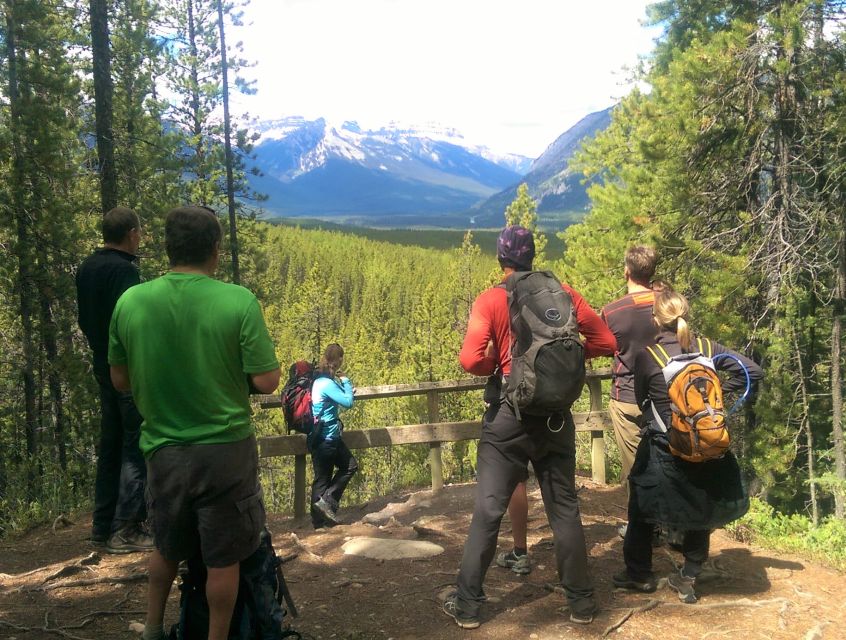 Banff: Bow River E-Bike Tour and Sundance Canyon Hike - Key Points