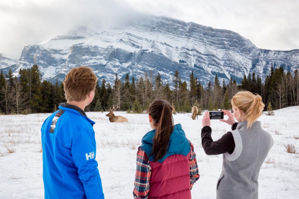 Banff: Wildlife and Sightseeing Minibus Tour - Key Points