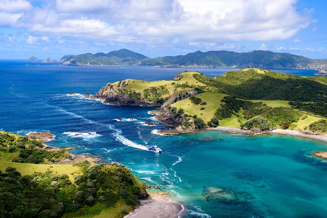 Bay of Islands Discovery Experience From Auckland Incl. Hole in the Rock Cruise - Key Points