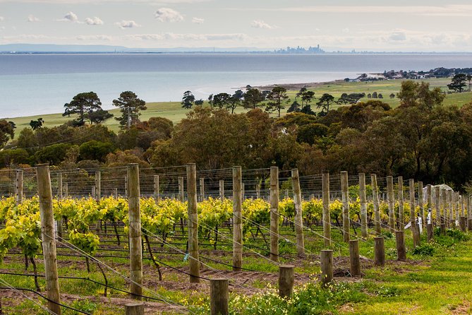 Bellarine Peninsula Small Group Wine Tour With 2 Course Lunch - Key Points