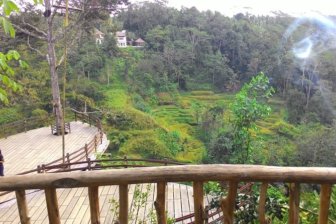 Best of Bali : Ubud, Rice Terrace, Tanah Lot Temple With Lunch - Tour Highlights
