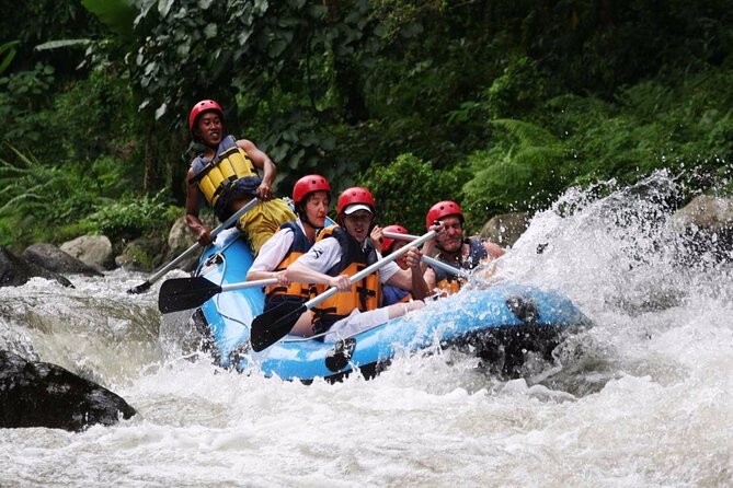 Best White Water Rafting With Lunch and Private Transfer in Bali - Key Points