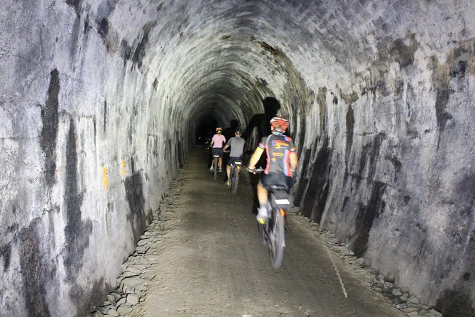 Bicycle Rental and Support, Nelson to Wakefield via Tunnel - Key Points