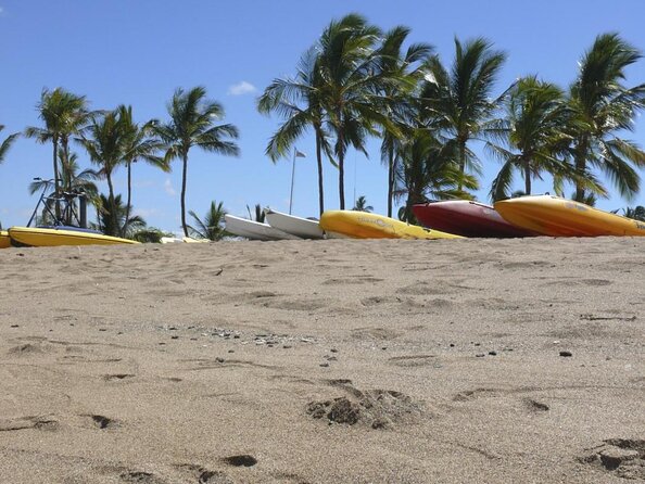 Big Island Kohala Coast Morning Whale Watch Cruise  - Big Island of Hawaii - Key Points