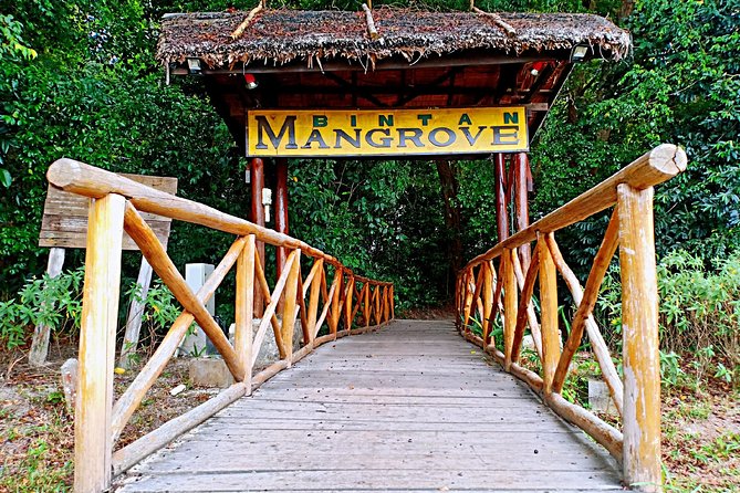 Bintan Mangrove Discovery Tour - Key Points