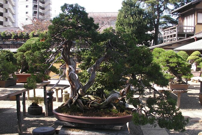 Bonsai and Washi Museum Visit in Tokyo - Key Points