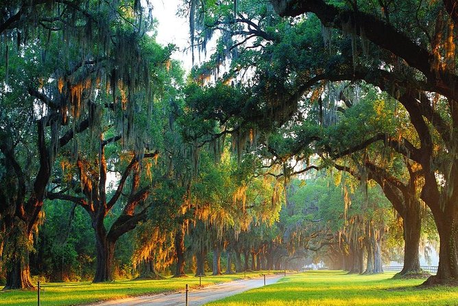 Boone Hall Plantation All-Access Admission Ticket - History of Boone Hall Plantation