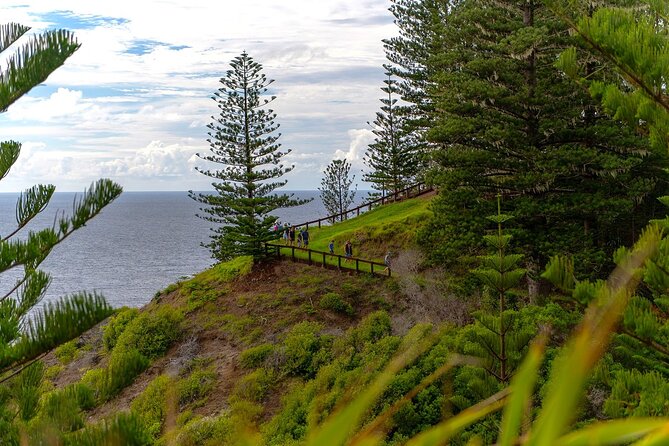 Breakfast Bushwalk in Norfolk Island - Key Points