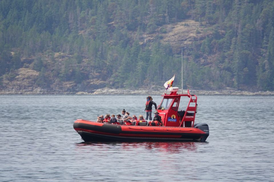 Campbell River: 6-Hour Whale Watching Boat Tour - Key Points