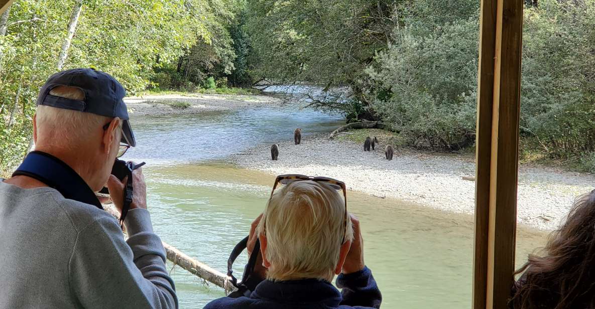 Campbell River: Grizzly Bear-Watching Tour With Lunch - Key Points