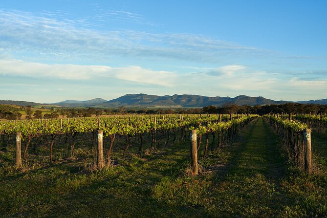 Canberra Murrumbateman Winery Expedition: Full Day - Key Points