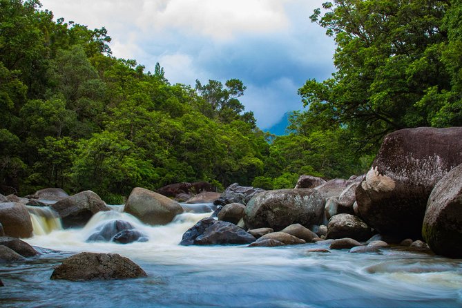 Cape Tribulation Day Tour - Key Points