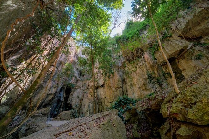 Capricorn Caves Cathedral Cave Tour - Key Points