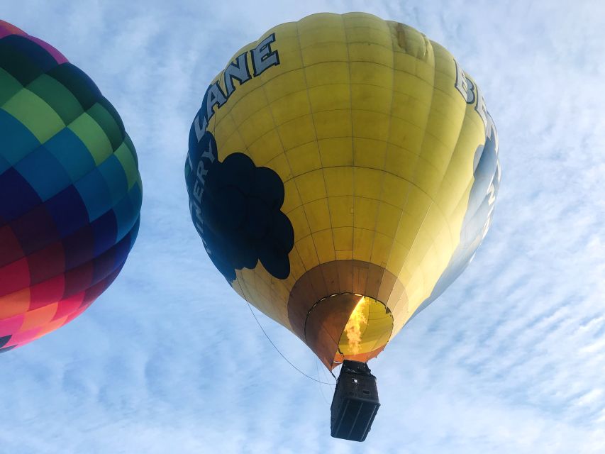 Carson City: Hot Air Balloon Flight - Key Points