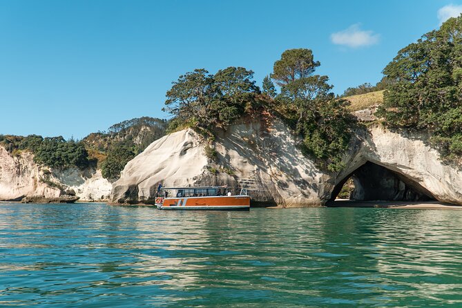 Cathedral Cove Coast and Cave Activity - Key Points