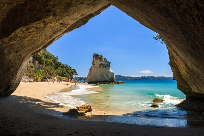 Cathedral Cove Kayak Tour - Key Points