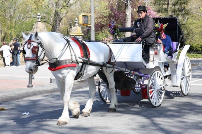 Central Park and NYC Horse Carriage Ride OFFICIAL ( ELITE Private) Since 1970 - Tour Experience Duration and Inclusions