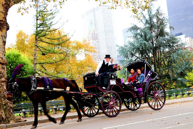 Central Park Horse Carriage Ride Short Loop (Up to 4 Adults))