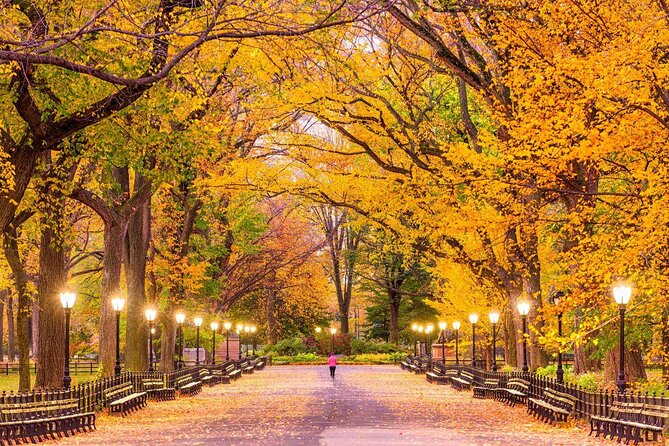Central Park Walking Tour - Key Points