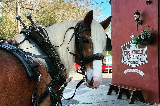 Charlestons Historic Residential Horse and Carriage Tour - Key Points