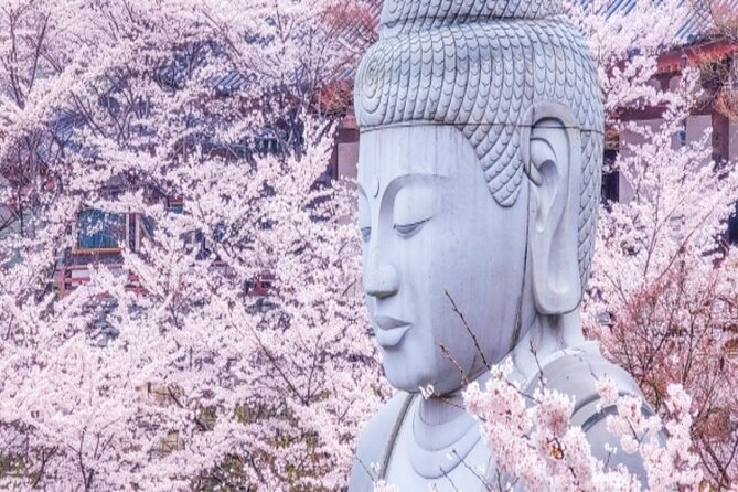 Cherry Blossom Buddha and Mt.Yoshino With Strawberry Picking Tour - Key Points