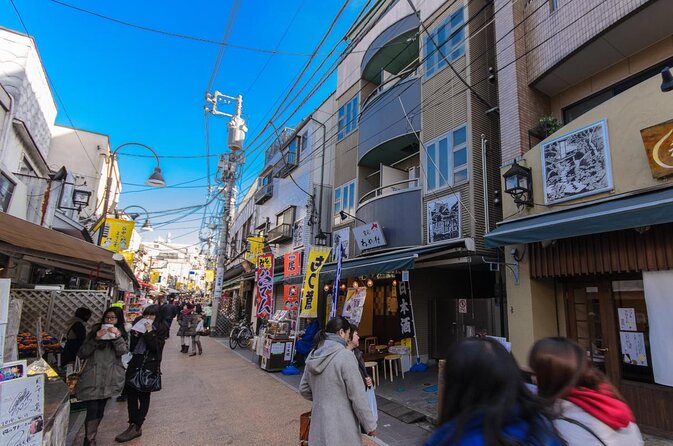 Cherry Blossom Highlights, Asakusa, Ueno, Yanaka - Key Points