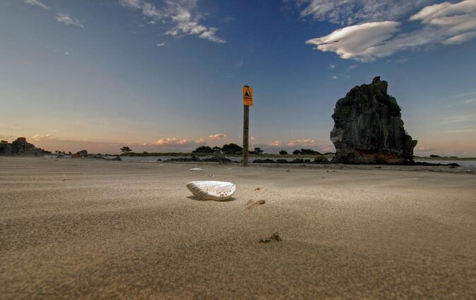 Christchurch Coastal Hiking Tour - Key Points