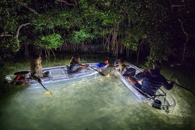 Clear Kayak LED Night Glass Bottom Tour - Sarasota - Key Points