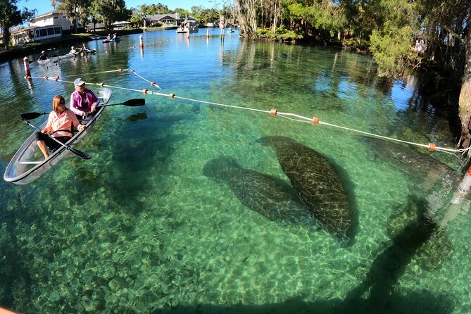 Clear Kayak Manatee Ecotour of Crystal River - Key Points