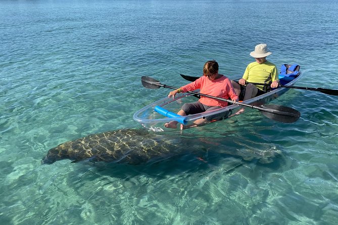 Clear Kayak Tour in Jupiter - Key Points