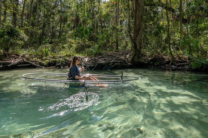 Clear Kayak Tours on Chassahowitzka River - Tour Highlights