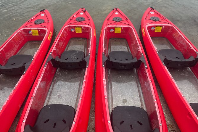 Cocoa Beach Clear-Bottom Kayaking Bioluminescent Tour - Tour Highlights