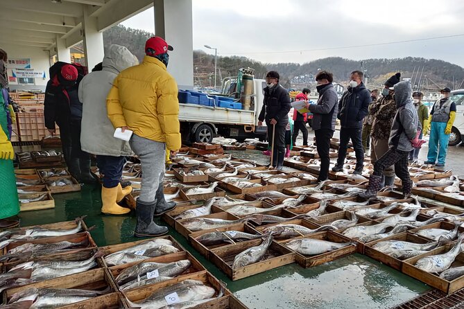 Cod Auction and Clam Auction in Winter - Key Points