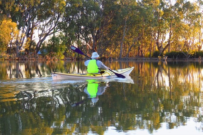 Cohuna Lagoon 3 Hour Kayak Eco Tour - Key Points