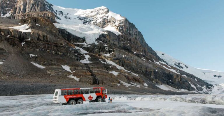 Columbia Icefield Adventure 1-Day Tour From Calgary or Banff