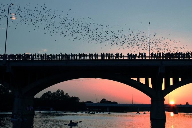 Congress Avenue Bat Bridge Kayak Tour in Austin - Key Points