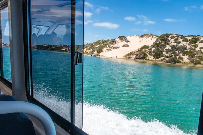 Coorong 6-Hour Adventure Cruise - Key Points