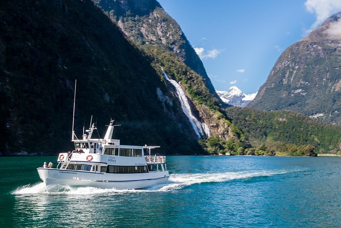 Cruise Milford NZ Small Boutique Cruise Experience - Key Points