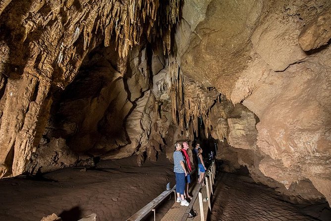 Cutta Cutta Caves Nature Park Guided Tours - Key Points