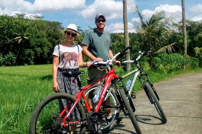 Cycling Tour in Yogyakarta With Lunch 3-Hour - Tour Duration and Inclusions