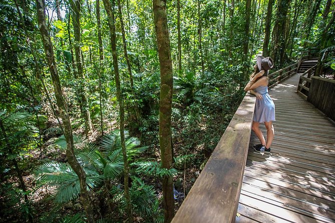 Daintree Rainforest, Cape Tribulation and Bloomfield Track Tour - Key Points