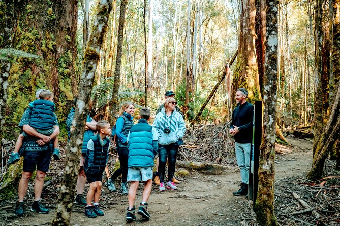 Day Tour in Mt. Field, Mt. Wellington, Bonorong Wildlife Sanctuary and Richmond - Key Points