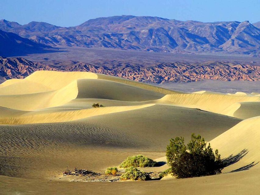 Death Valley: Full–Day Tour From Las Vegas - Key Points