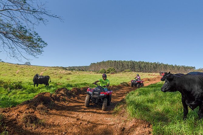 Deluxe ATV Waterfall and Swim Experience - Booking Details
